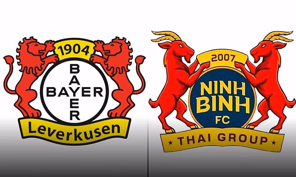Ninh Bình "Nhái" Leverkusen: Góc Nhìn Báo Đức & Ý Nghĩa Sâu Xa