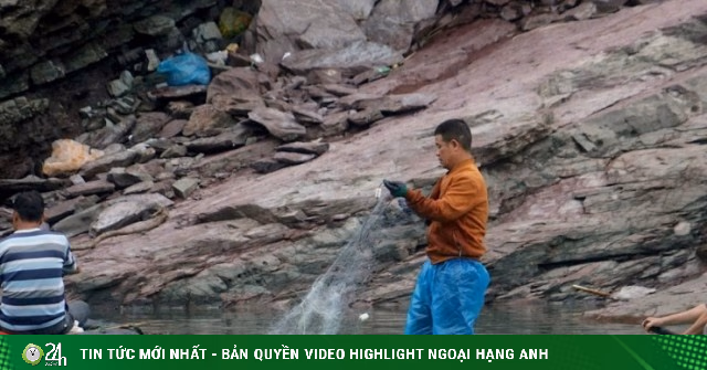 Hà Tĩnh: "Săn" Cá Khủng Tại Hồ Kẻ Gỗ, Dân Kiếm Tiền Triệu Mỗi Ngày