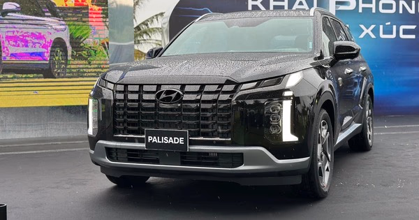 Xe Diesel Tại Việt Nam 2024: Danh Sách & Đánh Giá Chi Tiết