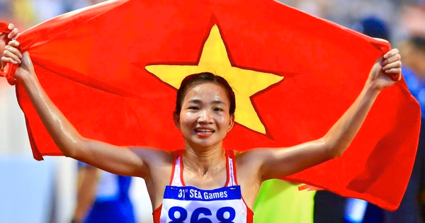 SEA Games 33: Việt Nam Quyết Tâm Giành 110 HCV, Cập Nhật Mới Nhất