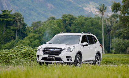 Subaru Giảm Giá "Sốc" Đến 308 Triệu: Nên Mua Forester & Crosstrek?