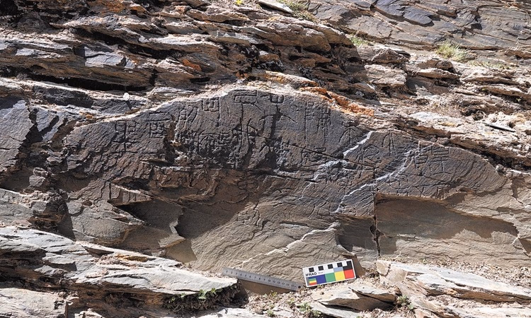 Tần Thủy Hoàng Tìm Thuốc Trường Sinh: Sự Thật Đằng Sau Huyền Thoại?